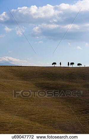Stock Image - Bare fields with cypress trees on horizon, Tuscany, Italy. Fotosearch