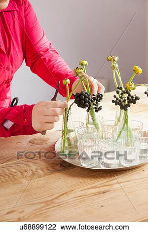Close up of young woman arranging fresh flowers and plants View Large Photo Image Stock Image - Close up of young woman arranging fresh flowers and plants. Fotosearch