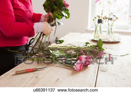 Close up of young woman arranging fresh flowers into bouquet View Large Photo Image Stock Photo - Close up of young woman arranging fresh flowers into bouquet. Fotosearch