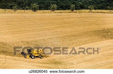 Combine harvester at work, Tuscany, Italy View Large Photo Image Stock Photography - Combine harvester at work, Tuscany, Italy. Fotosearch