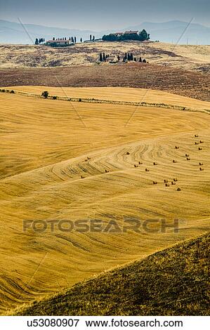 Stock Photo - Distant view of farmhouse beyond fields, Tuscany, Italy. Fotosearch