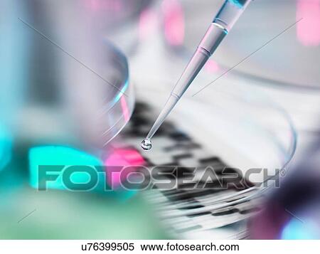 Stock Photography - DNA sample being pipetted into petri dish with DNA gel in background. Fotosearch