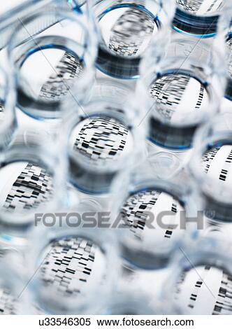 DNA sample in multi well plate with DNA gel below View Large Photo Image Stock Photography - DNA sample in multi well plate with DNA gel below. Fotosearch