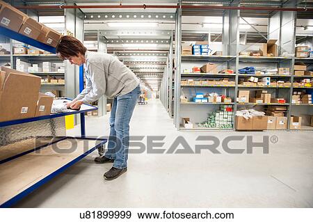 Female warehouse worker checking orders on delivery trolley View Large Photo Image Stock Photo - Female warehouse worker checking orders on delivery trolley. Fotosearch
