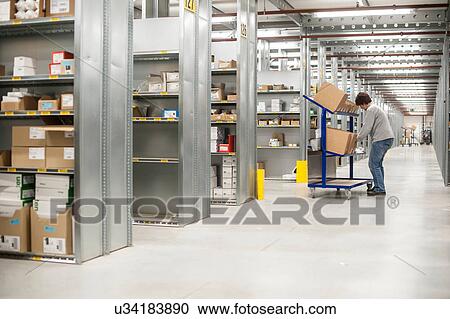 Female warehouse worker collecting orders on delivery trolley View Large Photo Image Stock Image - Female warehouse worker collecting orders on delivery trolley. Fotosearch