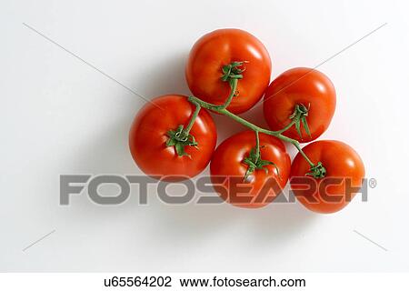 Stock Image - Five tomatoes on the vine. Fotosearch