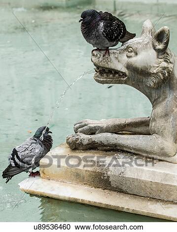 Stock Image - Fountain of Joy close up detail, Siena, Italy. Fotosearch