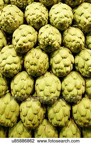 Globe artichokes for sale in Boqueria Market, Barcelona, Spain View Large Photo Image Stock Image - Globe artichokes for sale in Boqueria Market, Barcelona, Spain. Fotosearch