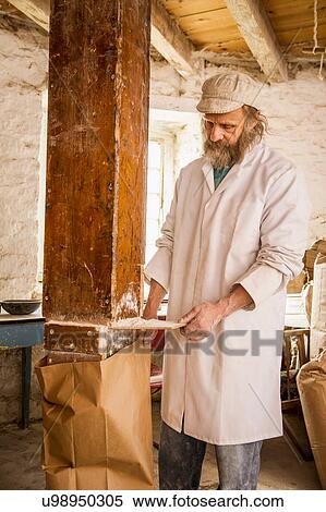 Stock Photography - Man filling paper bag with flour from chute in windmill. Fotosearch