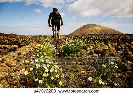 Man mountain biking, Lanzarote View Large Photo Image Stock Image - Man mountain biking, Lanzarote. Fotosearch