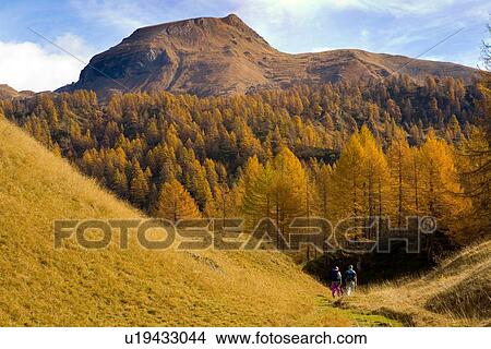 Mature couple hiking in valley of Alp Devero, Alpi, Piedmont, Italy View Large Photo Image Picture - Mature couple hiking in valley of Alp Devero, Alpi, Piedmont, Italy. Fotosearch