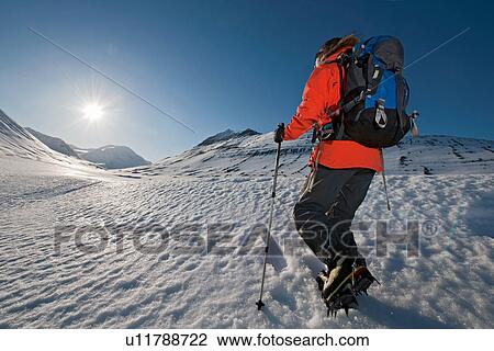 Stock Image - Mature woman hiking with backpack in sunlit snowy mountains, Skidadalur, Dalvik, Iceland. Fotosearch