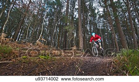 Mid adult man on mountain bike in forest View Large Photo Image Stock Image - Mid adult man on mountain bike in forest. Fotosearch