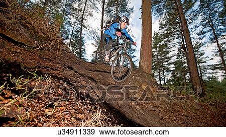 Mid adult man on mountain bike in forest View Large Photo Image Stock Photo - Mid adult man on mountain bike in forest. Fotosearch