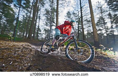 Mid adult man on mountain bike in forest View Large Photo Image Stock Photo - Mid adult man on mountain bike in forest. Fotosearch