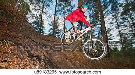 Stock Photography - Mid adult man on mountain bike in forest. Fotosearch