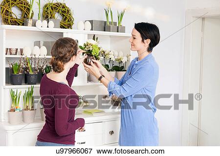 Mid adult woman and teenage girl choosing plants in florists View Large Photo Image Stock Photo - Mid adult woman and teenage girl choosing plants in florists. Fotosearch