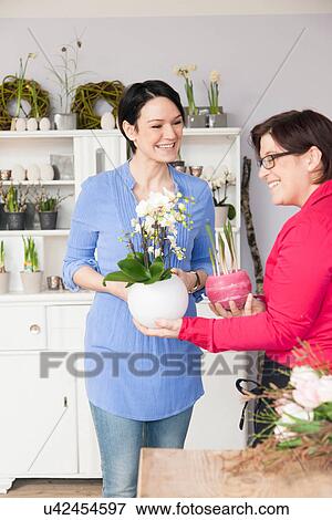 Mid adult woman choosing plant with florist View Large Photo Image Stock Photo - Mid adult woman choosing plant with florist. Fotosearch