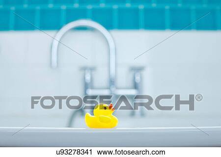 One yellow rubber duck for bathtime View Large Photo Image Stock Image - One yellow rubber duck for bathtime. Fotosearch