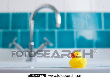 One yellow rubber duck for bathtime View Large Photo Image Stock Photo - One yellow rubber duck for bathtime. Fotosearch
