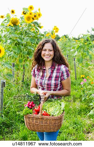 Portrait of young woman holding basket of fresh vegetables in allotment View Large Photo Image Stock Photo - Portrait of young woman holding basket of fresh vegetables in allotment. Fotosearch
