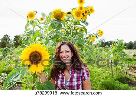 Stock Photo - Portrait of young woman with yellow sunflowers in allotment. Fotosearch
