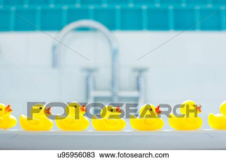 Row of three yellow rubber ducks for bathtime View Large Photo Image Stock Image - Row of three yellow rubber ducks for bathtime. Fotosearch