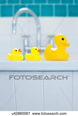 Row of three yellow rubber ducks for bathtime View Large Photo Image Stock Photo - Row of three yellow rubber ducks for bathtime. Fotosearch