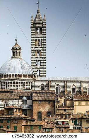 Tower and dome of Santa Maria Assunta, Siena, Italy View Large Photo Image Stock Image - Tower and dome of Santa Maria Assunta, Siena, Italy. Fotosearch