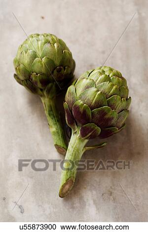 Two artichokes, still life View Large Photo Image Stock Image - Two artichokes, still life. Fotosearch