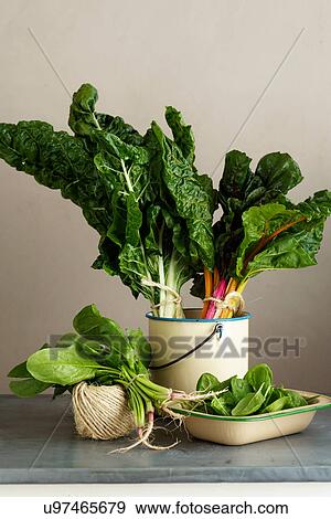 Variety of spinach View Large Photo Image Stock Photo - Variety of spinach. Fotosearch