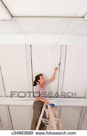 Woman on stepladders painting white ceiling View Large Photo Image Stock Photo - Woman on stepladders painting white ceiling. Fotosearch