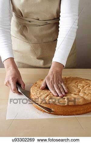 Woman slicing top off sponge cake View Large Photo Image Stock Photo - Woman slicing top off sponge cake. Fotosearch