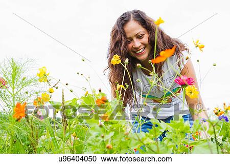 Stock Image - Young woman gardening in allotment. Fotosearch