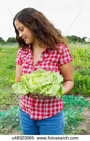 Stock Photography - Young woman holding cabbage in allotment. Fotosearch