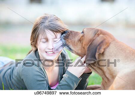犬 舐めること 女の子 顔 写真館 イメージ館 U Fotosearch
