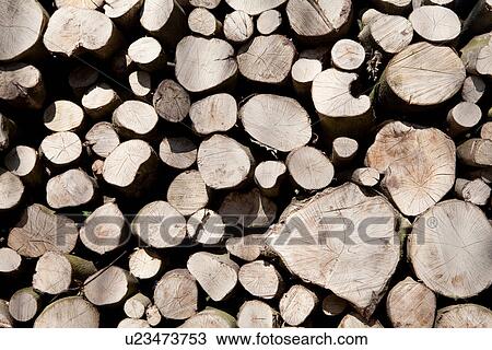 A stack of cut timber View Large Photo Image Stock Image - A stack of cut timber. Fotosearch