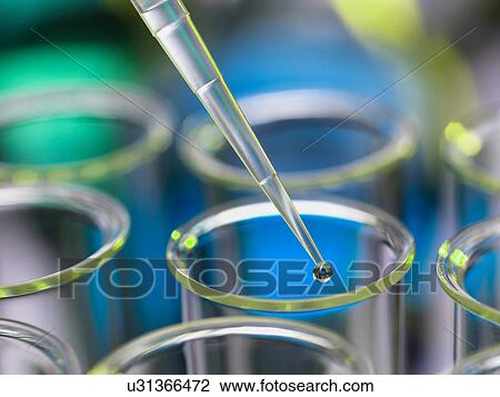Analytical chemistry - sample being pipetted into test tube for analysis in laboratory View Large Photo Image Stock Image - Analytical chemistry - sample being pipetted into test tube for analysis in laboratory. Fotosearch