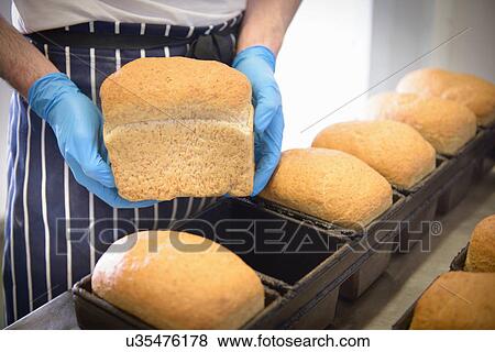 Stock Photo - Baker holding loaf of freshly baked bread. Fotosearch