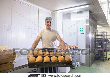 Baker holding tray of freshly baked bread, portrait View Large Photo Image Stock Image - Baker holding tray of freshly baked bread, portrait. Fotosearch