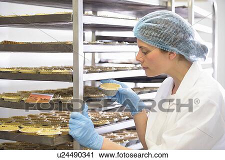 Baker inspecting baked pie case on tray View Large Photo Image Stock Image - Baker inspecting baked pie case on tray. Fotosearch