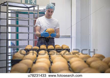 Baker inspecting loaf from tray of freshly baked bread View Large Photo Image Stock Image - Baker inspecting loaf from tray of freshly baked bread. Fotosearch