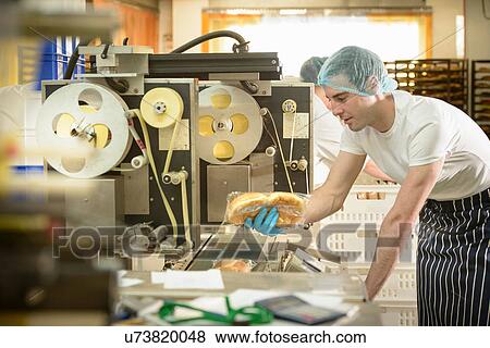 Stock Photo - Baker inspecting packaging on bread rolls production line bakery. Fotosearch