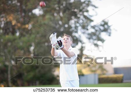 Stock Photography - Boy catching cricket ball. Fotosearch