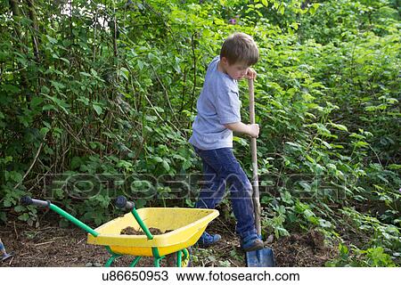Stock Image - Boy digging in garden with toy spade and wheelbarrow. Fotosearch