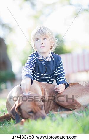 Boy using stethoscope on pet dog View Large Photo Image Stock Image - Boy using stethoscope on pet dog. Fotosearch