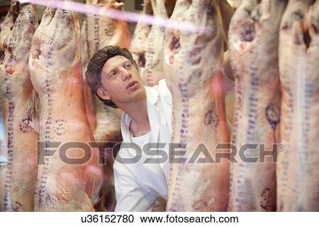 Stock Image - Butcher inspecting meat. Fotosearch