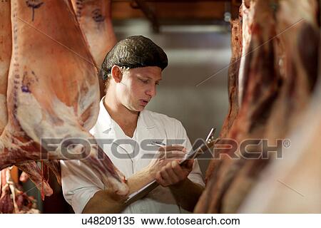 Butcher with clipboard inspecting meat View Large Photo Image Stock Photography - Butcher with clipboard inspecting meat. Fotosearch