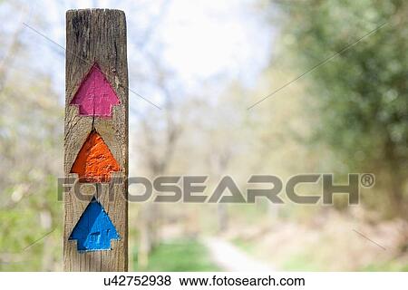 Stock Photo - Colourful direction arrows in forest. Fotosearch