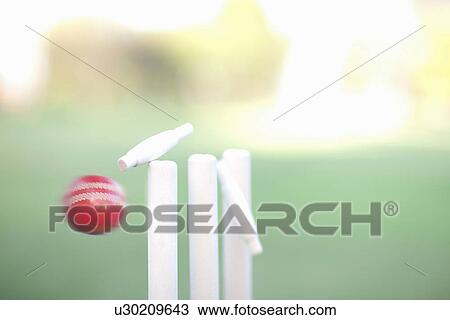Cricket ball hitting cricket stumps, close up View Large Photo Image Stock Image - Cricket ball hitting cricket stumps, close up. Fotosearch